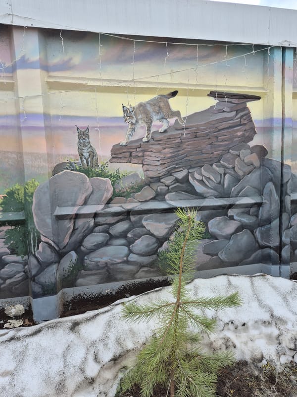 Spring morning moments documented across Chaikovsky, Russia