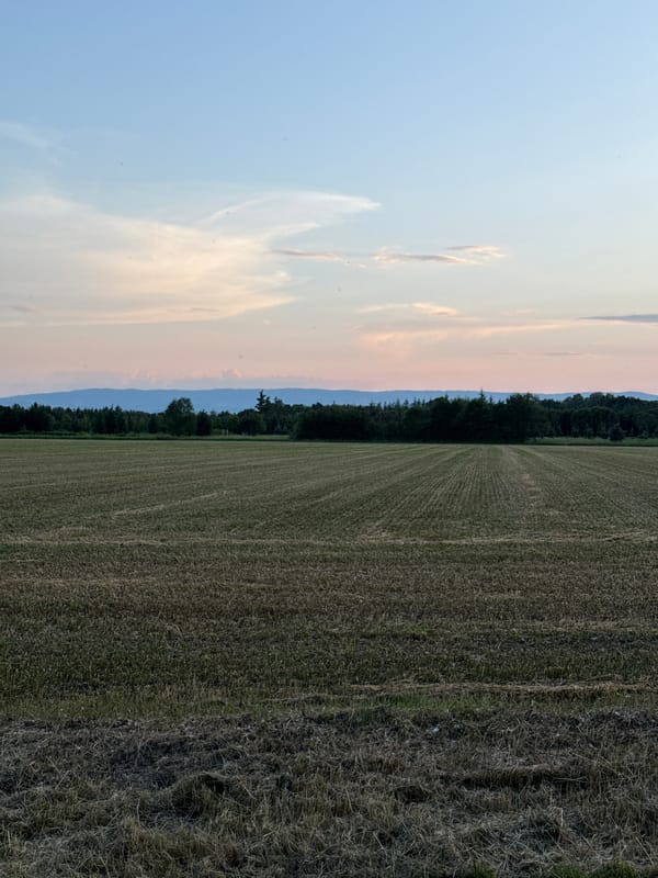 Evening walk captured along harvested fields in rural France