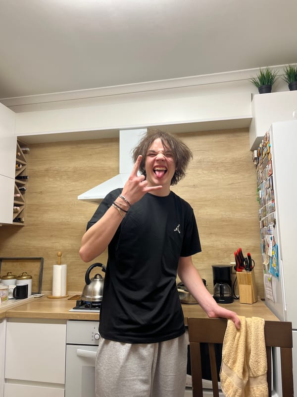 Kitchen antics and cat playing in gift bag
