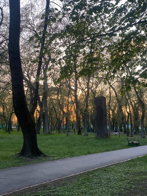Evening light observed in Subotica park scene