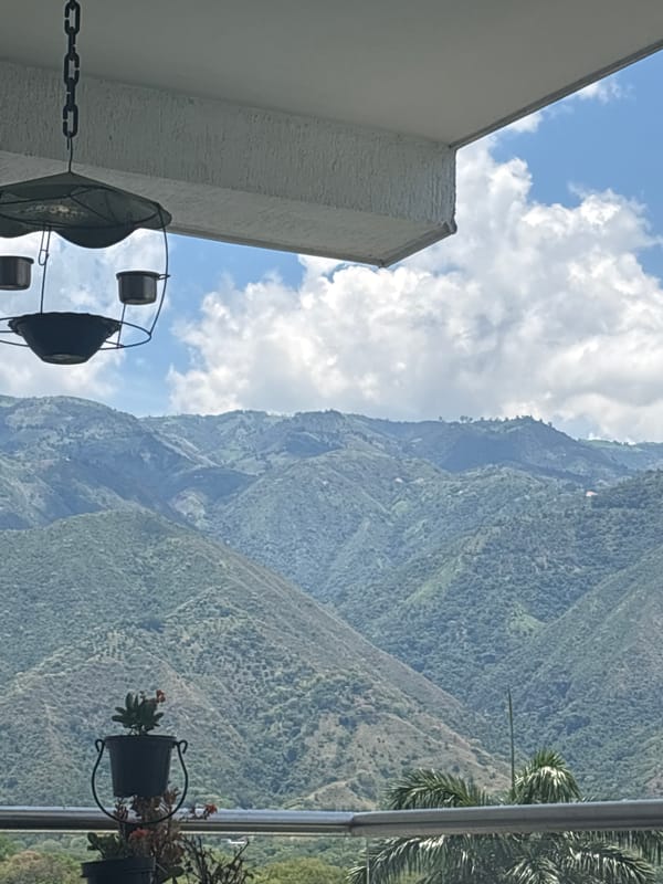 Dog and mountain view captured in San Jerónimo building