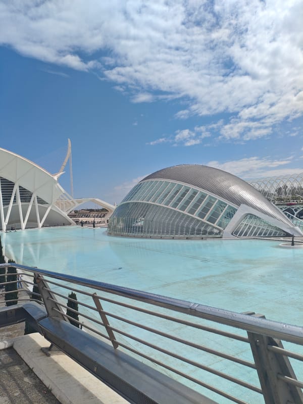 Valencia's futuristic arts complex captured in afternoon observations