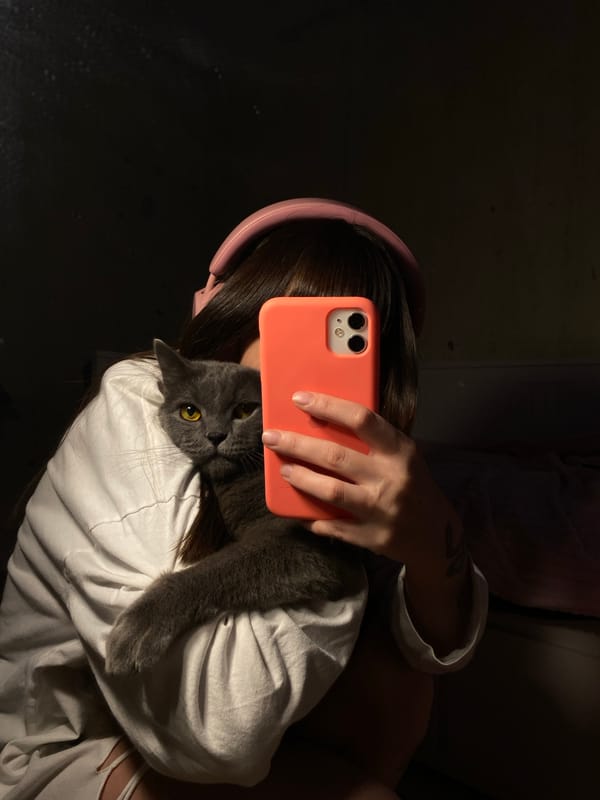 Person takes selfies with gray cat in Votkinsk apartment