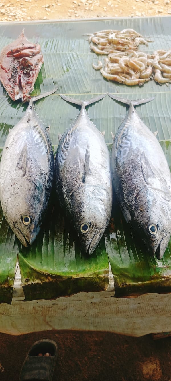 Fresh seafood displayed on banana leaves at Indonesian market