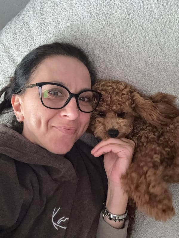 Quiet afternoon at home in Marum with a small poodle
