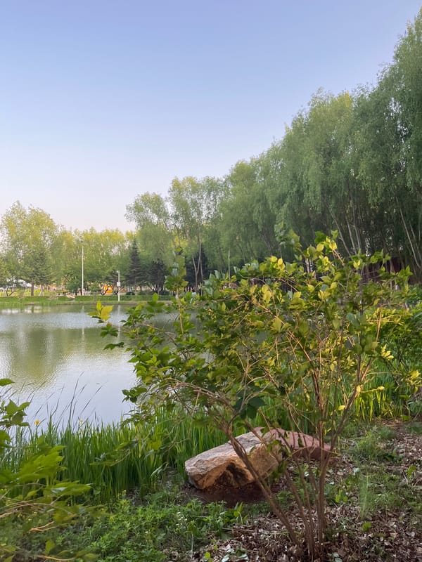 Morning lakeside recreation captured at Changchun park