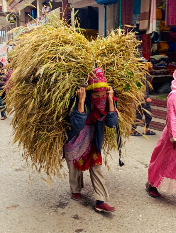 Daily life documented in Vashisht village, India