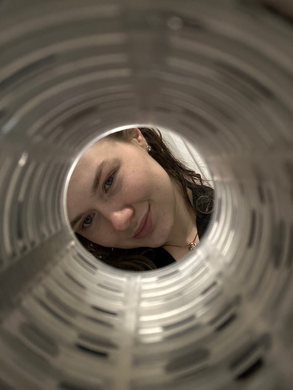 Woman spotted through metal structure opening in Studenets