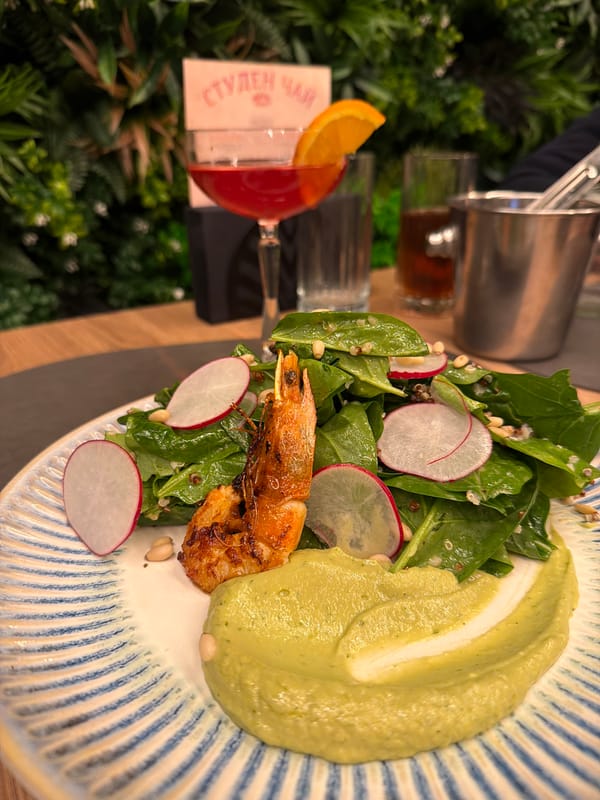 Evening dining experience documented at Sofia restaurant