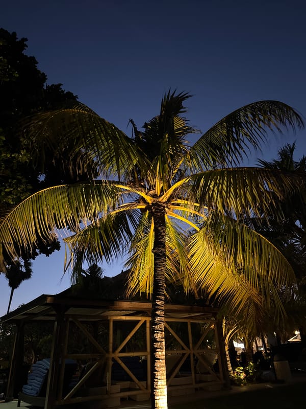 Bali resort at dusk: lit palms, glowing umbrellas, ship offshore
