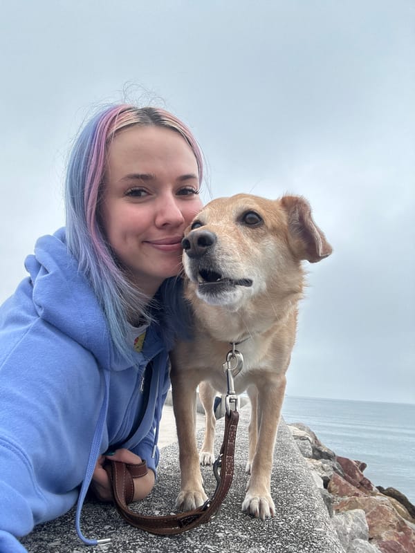 Dog selfies, personal updates, and street art in coastal Gijón