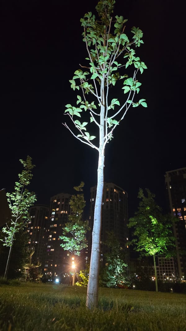 Evening stroll through illuminated Kyiv parks and streets documented