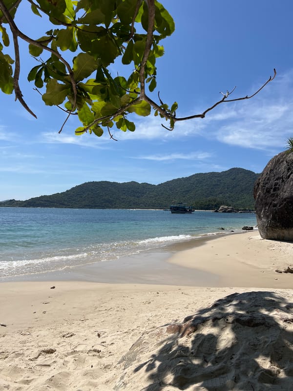 Morning beach scene documented in Đà Nẵng, Vietnam
