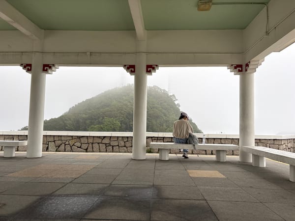 Morning walk through misty Hong Kong park documented by witness