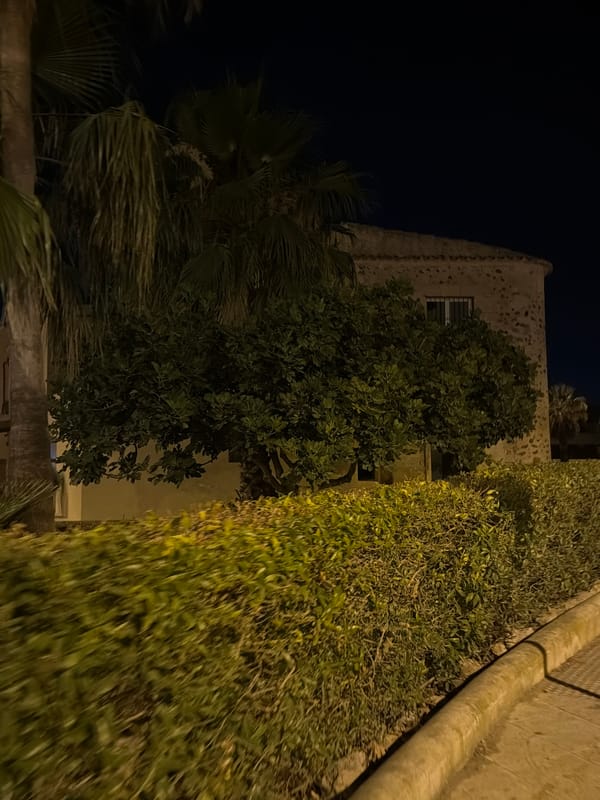 Night out on the streets of Ibiza town