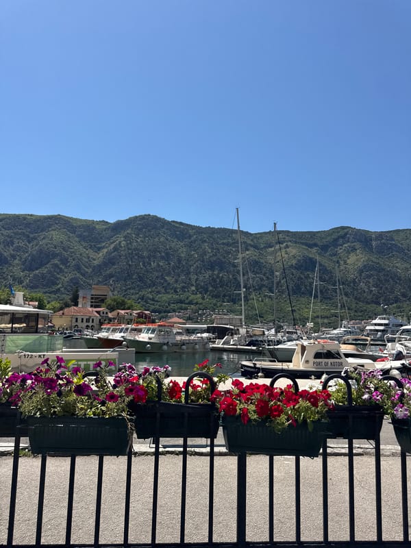 Tourist documents sunny afternoon exploring Kotor Montenegro marina