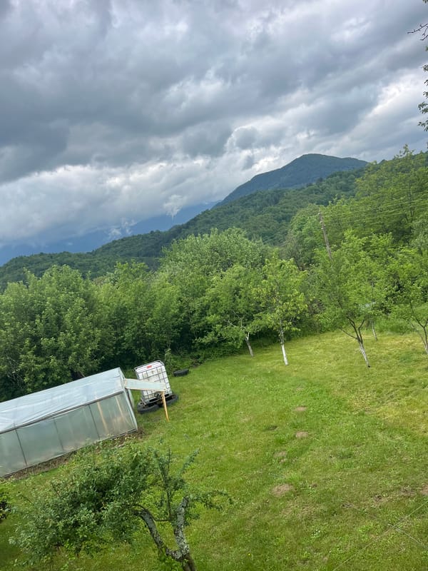 Morning porch moments captured in rural Shopite, Bulgaria