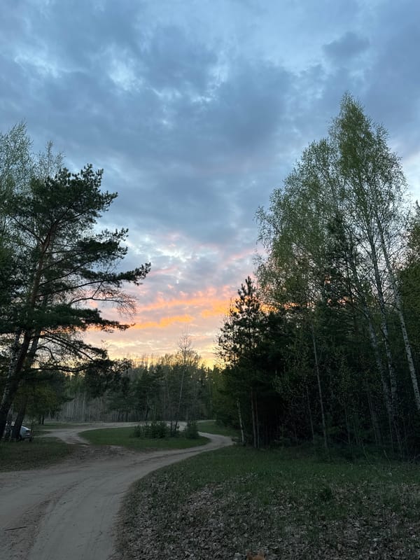 Rural dirt road photographed during sunset in Noviy, Russia