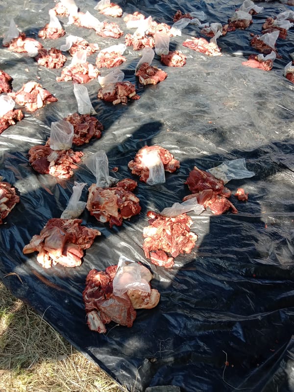 Community meat distribution gathering in Lhokseumawe, Indonesia