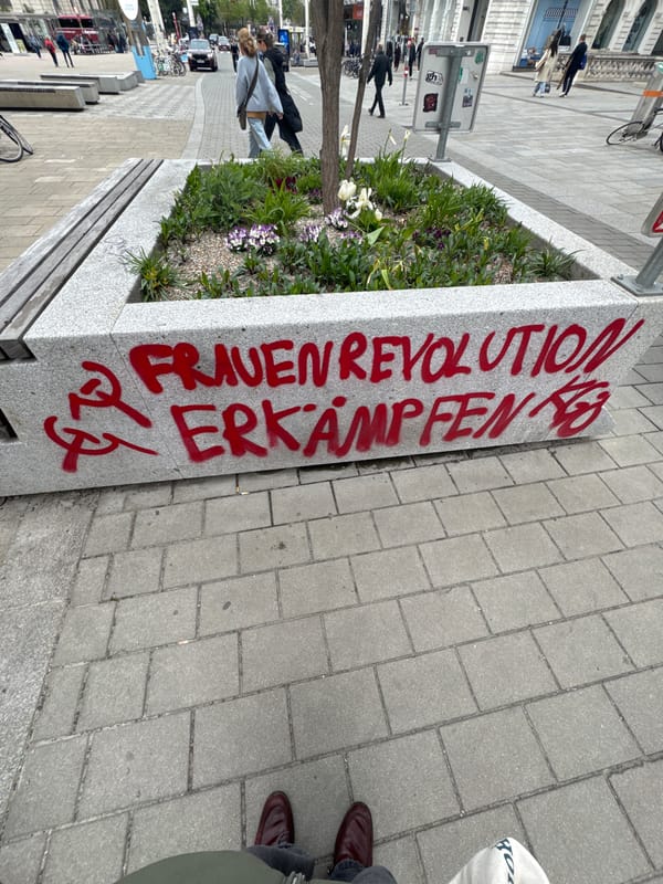 Feminist graffiti appears on Vienna street planter