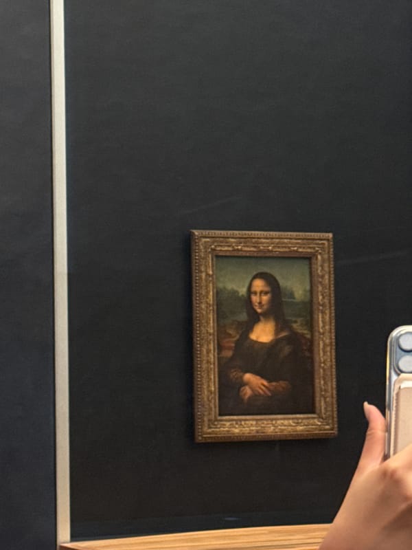 Tourist photographs Mona Lisa at Louvre Museum