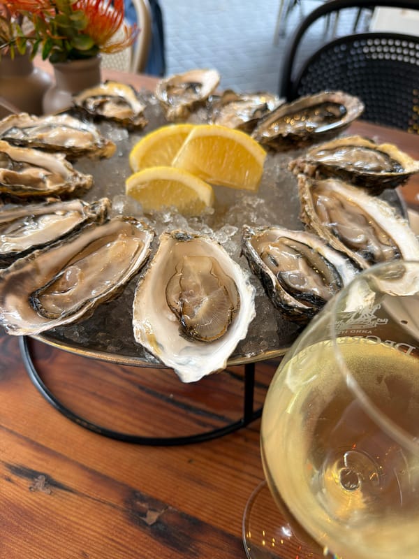 Fresh oysters served on ice documented in Cape Town
