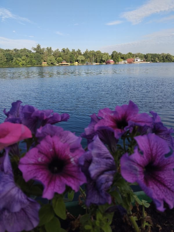 A quiet morning walk along Kyiv's riverfront in bloom