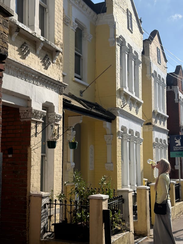 Person spotted on sunny London street amid terraced buildings