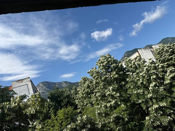 Morning snapshots document quiet moments across Vratsa, Bulgaria