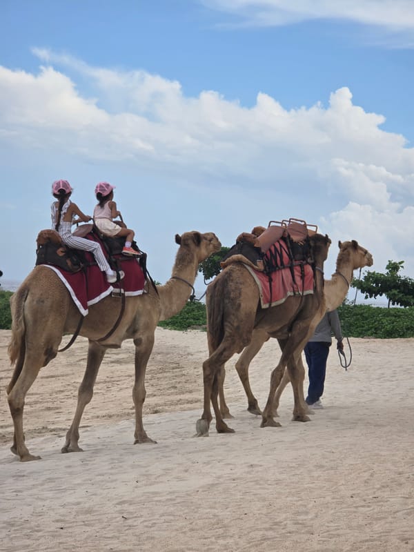 Morning beach activities include camel rides, beachgoers in Indonesia