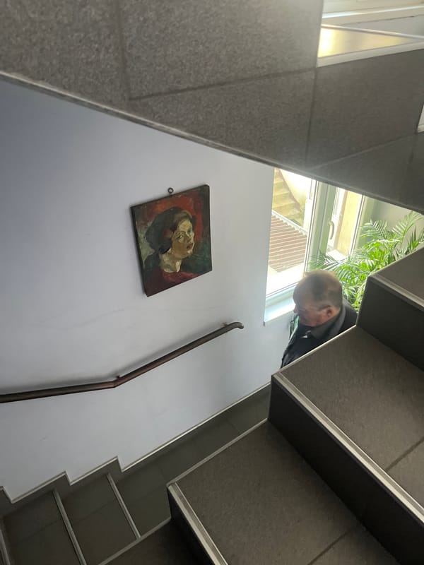 Indoor art displays documented in Goce Delcev building