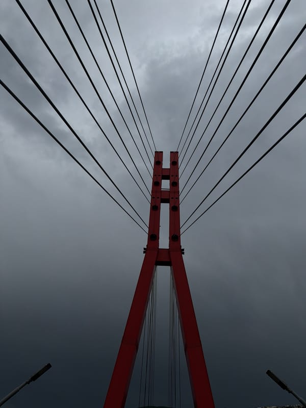 Woman in gray suit observed near Tbilisi bridge during rain