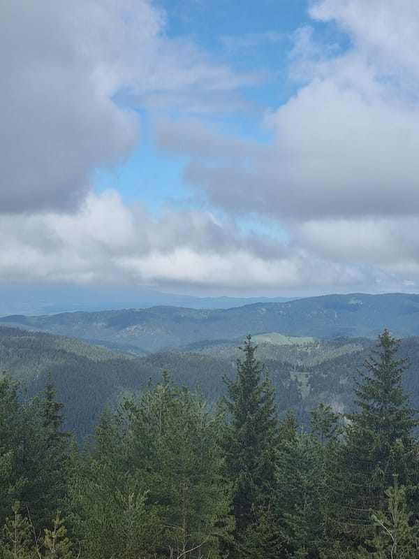 Mountain scenery documented in Bulgarian resort town Govedartsi
