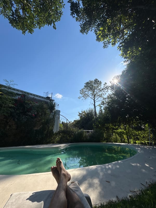Clear skies observed through trees in Del Viso, Argentina