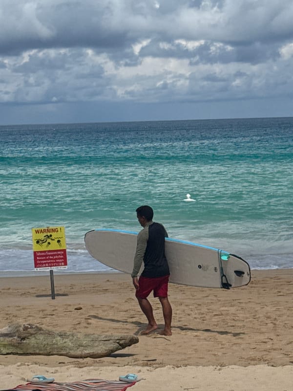 Beach day activities across multiple angles in tropical setting
