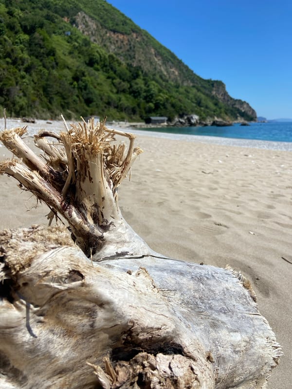 Coastal documentation captures driftwood, construction debris in Prijevor, Montenegro