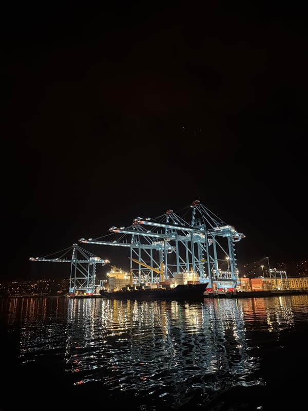 Illuminated container cranes captured at night in Rijeka port