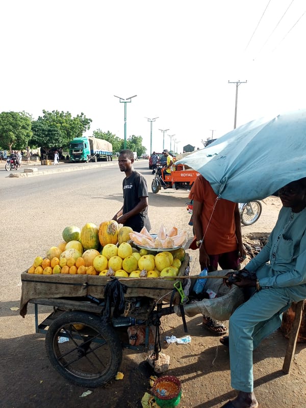 Street vendors and daily movement through Gombe's roadside market