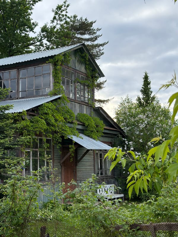 Weathered buildings and overgrown vegetation documented by witness
