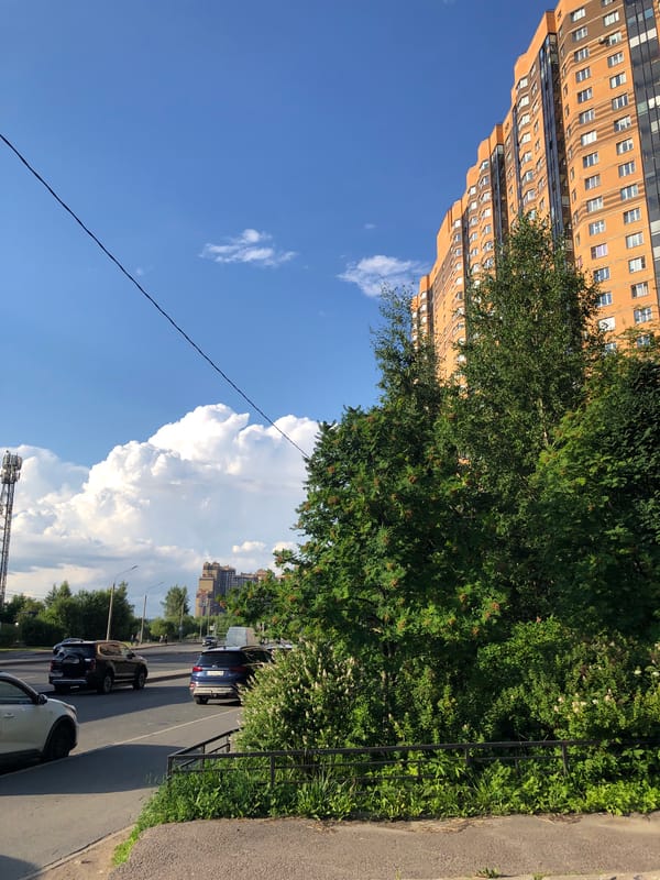 Summer stroll through a residential neighborhood, buildings and blooms