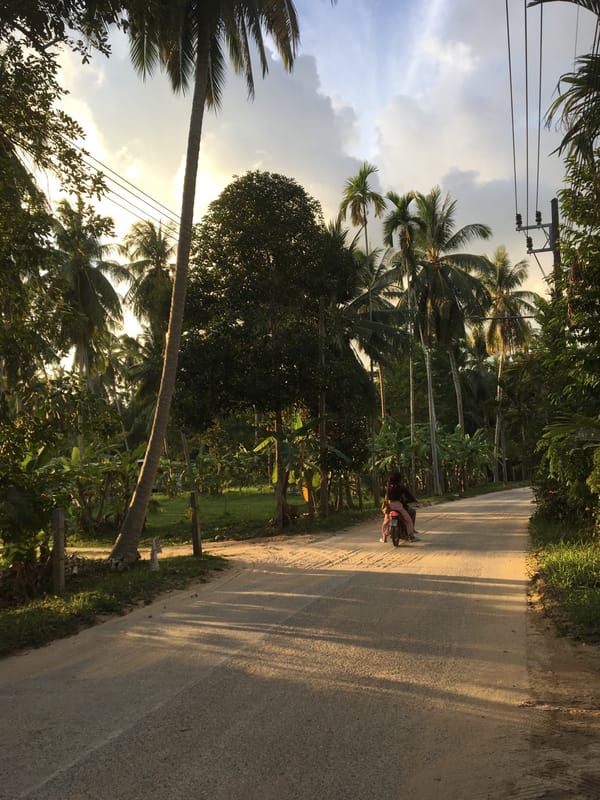 Tropical island life documented in Ko Pha-ngan, Thailand