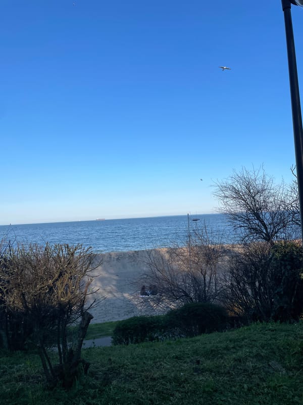 Clear skies and bird captured over Burgas sea view