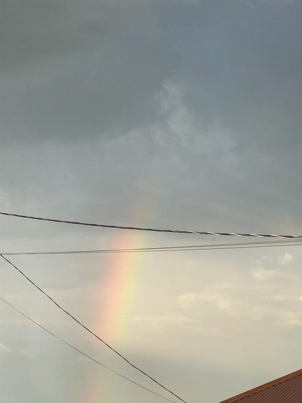Backyard pool day: swimming, grilling, dancing, and a rainbow
