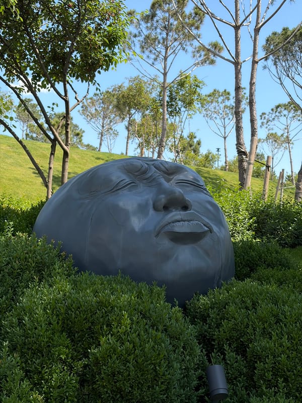 Morning visitors photographed at Galitsky Park art installation