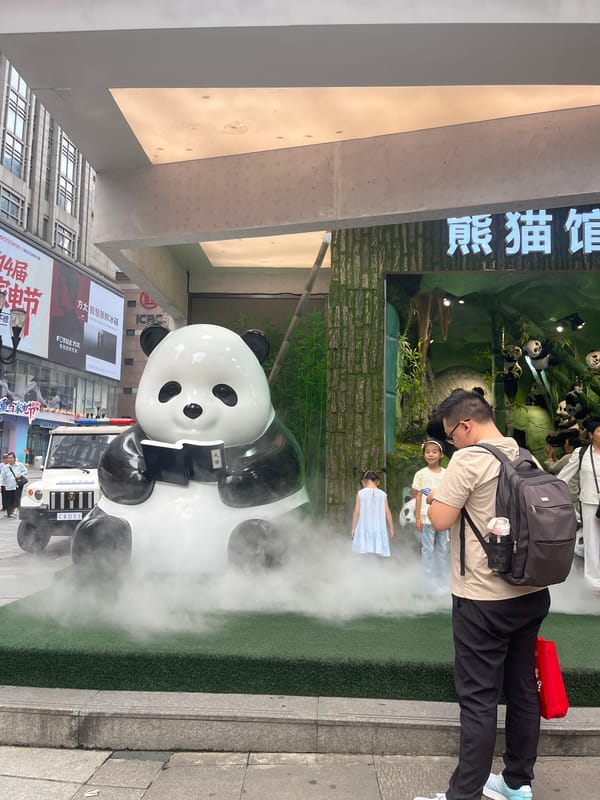 Chongqing's Yuzhong District: panda attraction meets urban pedestrian scene
