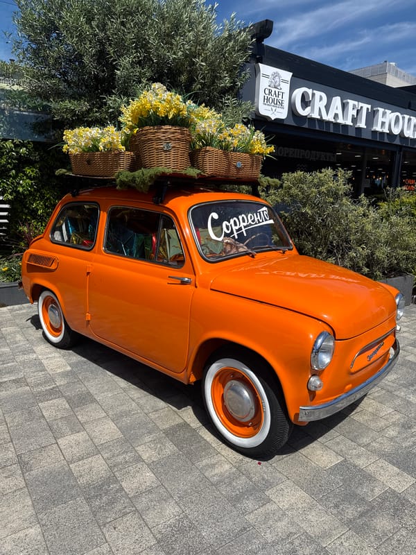 Woman photographs vintage orange car, selfies in Sochi