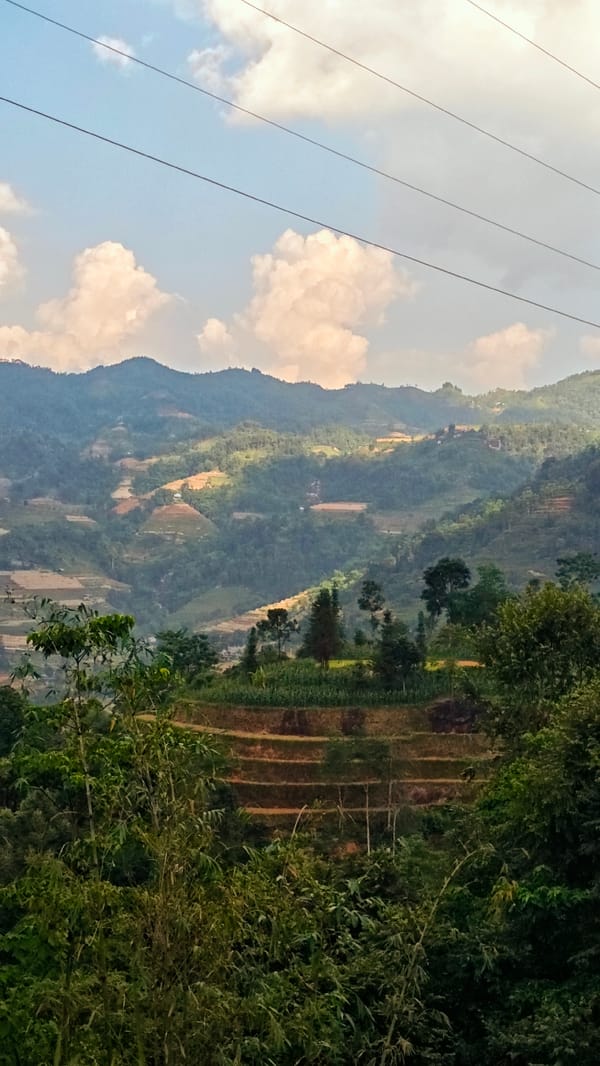 Tourists document terraced farms, wildlife in Vietnamese mountain commune
