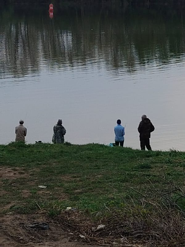 Group fishing along turbulent waterway with mixed terrain