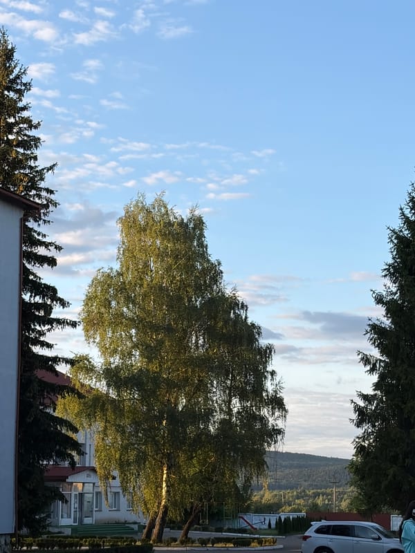 Ukrainian youth camp festival with stage, crowd, and horses nearby