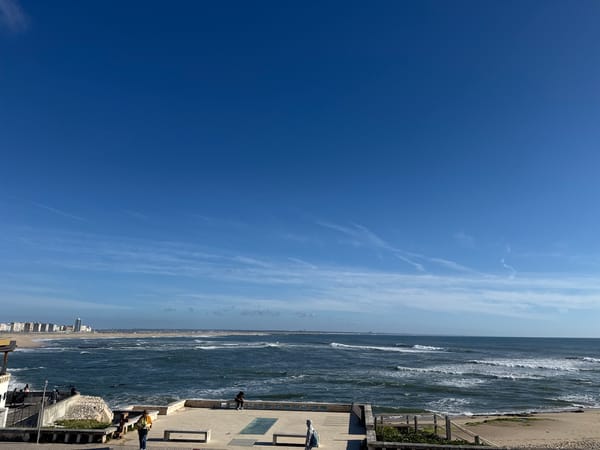 Clear afternoon captures daily life along Figueira da Foz waterfront